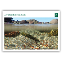 MLC Retail Marshmead book
