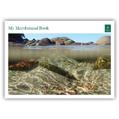 MLC Retail Marshmead book